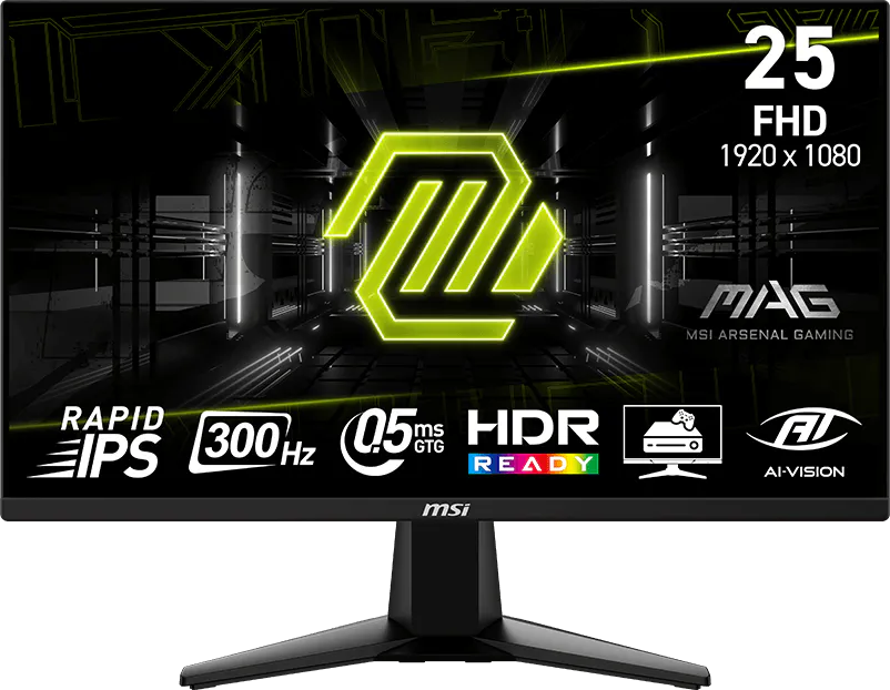MSI MAG 255XF